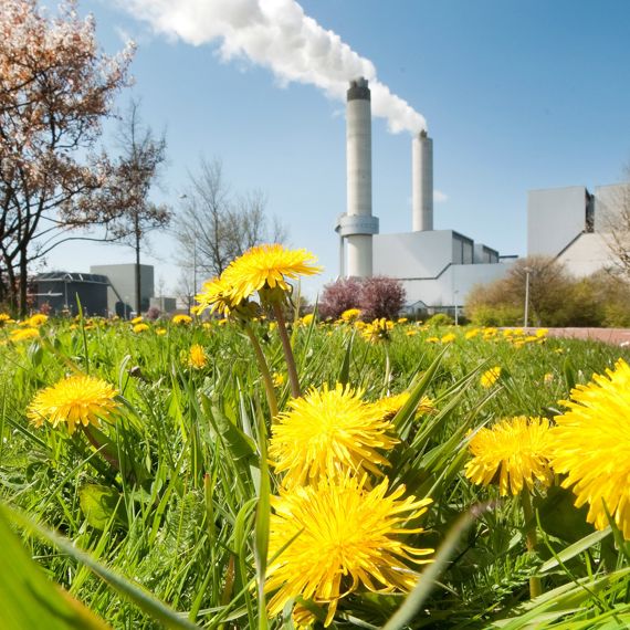 Nieuwe voorzitter Raad van Commissarissen AEB