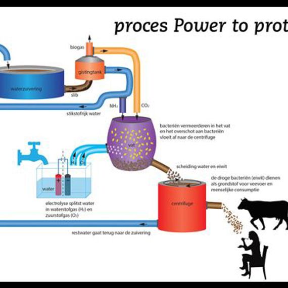  AEB participeert in pilot Power to Protein